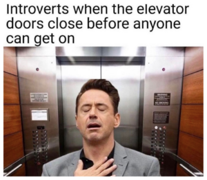 introvert meme